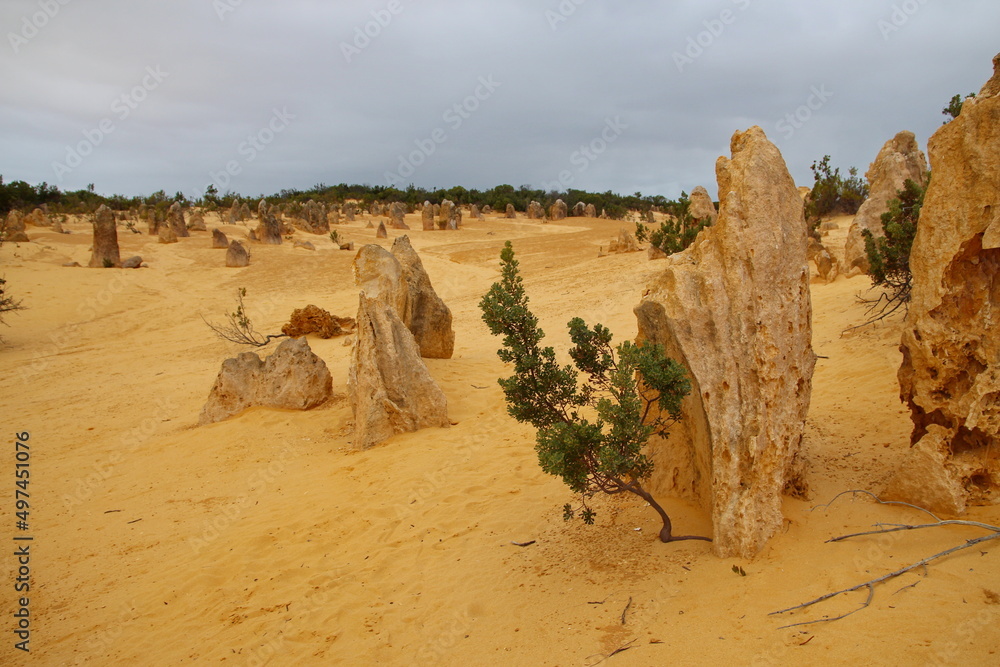 Sticker Pinnacles Desert in Western Australia