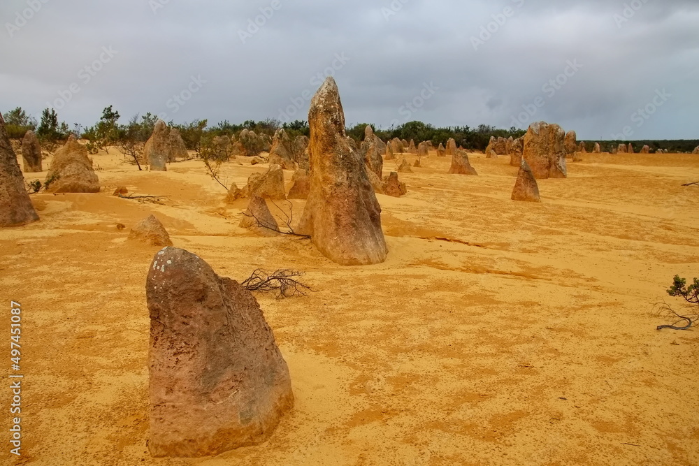 Canvas Prints Pinnacles Desert in Western Australia