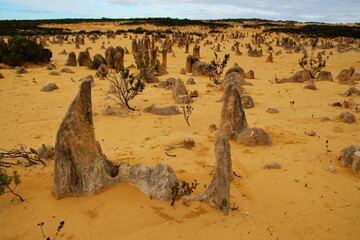 Pinnacles Desert in Western Australia