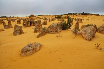 Fototapeta na wymiar Pinnacles Desert in Western Australia