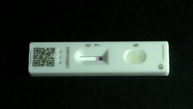 Coronavirus (COVID-19) rapid lateral flow test shows up a positive result. 