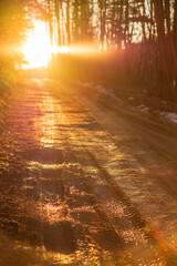 Sun shining over road, path