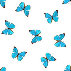Seamless animal print for fabric with blue tropical butterflies on a white background in vector.