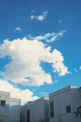 面白い形の雲が漂う