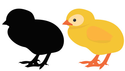 chick flat design, silhouette, isolated, vector