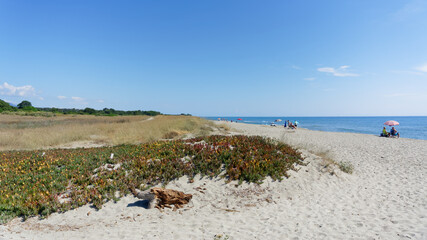 Alistro beach in eastern coast of Corsica