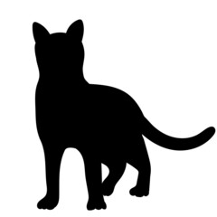 cat black silhouette, isolated vector