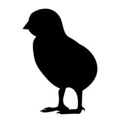 chicken black silhouette, isolated vector