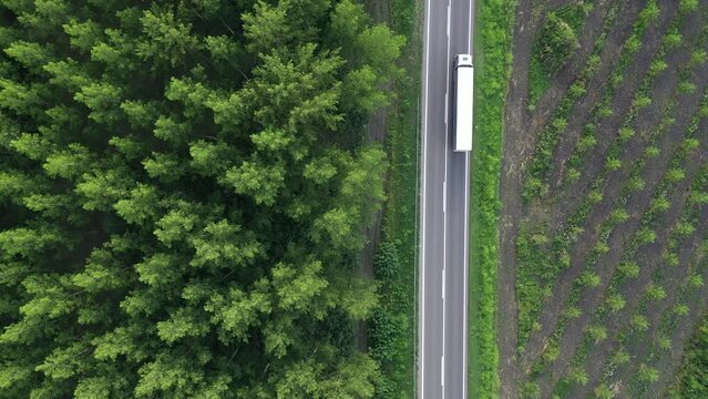 Truck and car on the road through forest landscape, aerial shot drone pov