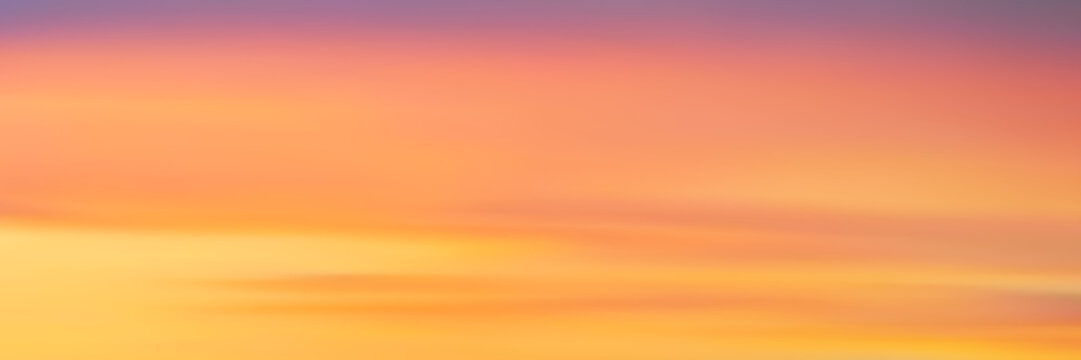 Panoramic sunset sky, natural background, vector illustration, gradient mesh.