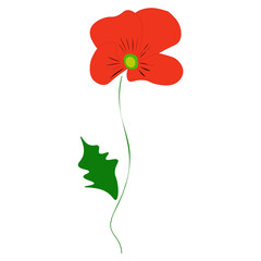 Red poppy with green leaves isolated on white background. Abstract outline wild flower art icon, vector eps 10