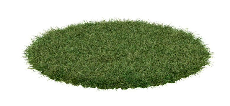 A round patch of grass, isolated on white background. 3d image
