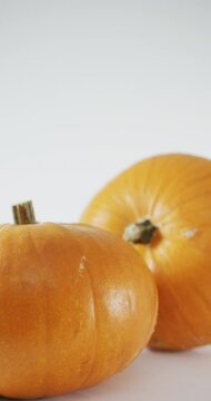Vertical video of two large pumpkins rotating on white background