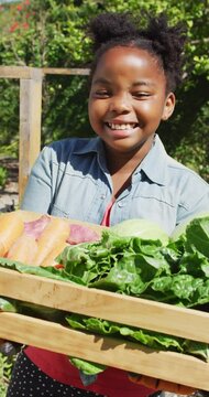 Vertical video of smiling african american girl in sunny garden carrying freshly picked vegetables