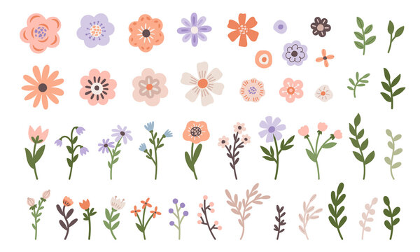 Minimalistic Spring Flowers