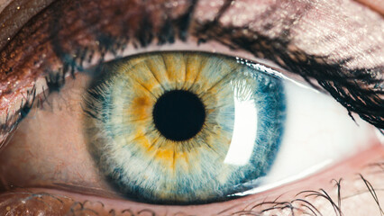 Close up of stunning female blue eye