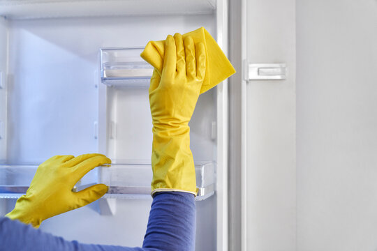 Close up of caucasian woman cleaning fridge at home - Powered by Adobe