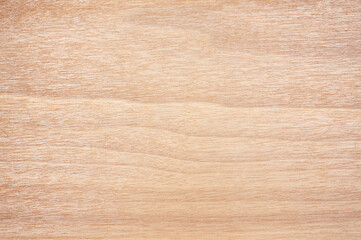 Natural wood texture background. copy spice