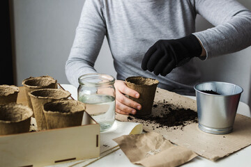 Fototapeta na wymiar A woman in a gray pullover and one black glove is sitting at a table in the room, scattering plant seeds into peat pots with soil in order to get an environmentally friendly crop after a while.