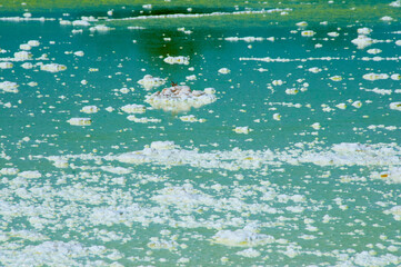 Salt Lake - Western Australia