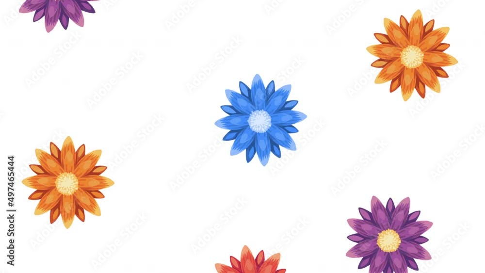 Poster spring flowers pattern animation