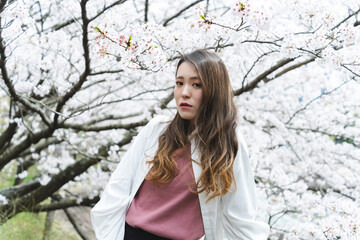 満開の桜とクールな女性