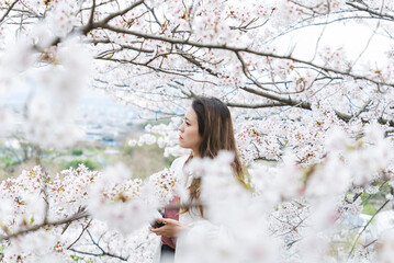 満開の桜とクールな女性