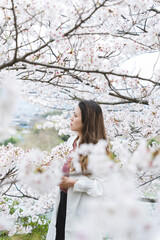 満開の桜とクールな女性