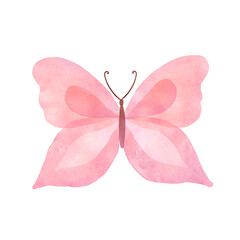 Watercolor colorful Summer butterfly isolated on white background. Spring pink butterfly illustration