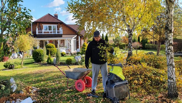 An adult man in a black jacket removes leaves and branches from his garden plot. Autumn came. Garden cart with fallen yellow leaves. Yellow garden in autumn, sunny weather.