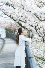 桜の花を見る眼鏡をかけた女性