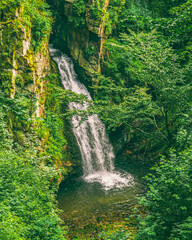 waterfall in the forest