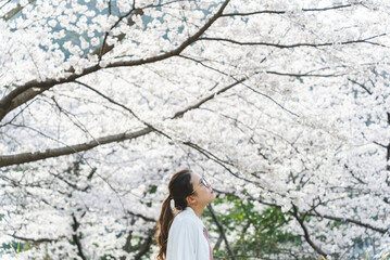 桜の花を見る眼鏡をかけた女性