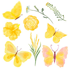 Watercolor colorful Summer butterfly isolated on white background. Spring yellow butterfly illustration and wild flowers and herbs.