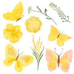 Foto op Plexiglas anti-reflex Watercolor colorful Summer butterfly isolated on white background. Spring yellow butterfly illustration and wild flowers and herbs. © ANASTASIA