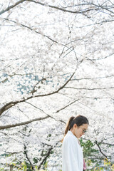 桜の花を見る眼鏡をかけた女性