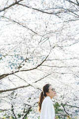 桜の花を見る眼鏡をかけた女性