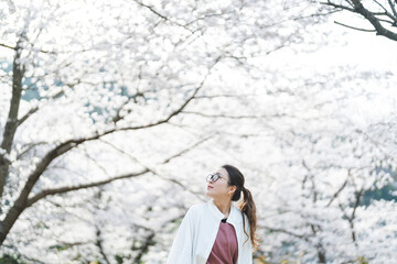 桜の花を見る眼鏡をかけた女性