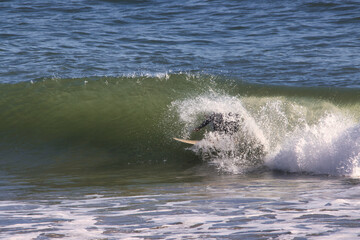 Surfing Rincon cove in California