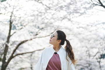 桜の花を見る眼鏡をかけた女性