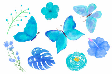 Watercolor colorful Summer butterfly isolated on white background. Spring blue butterfly illustration and wild flowers and herbs.