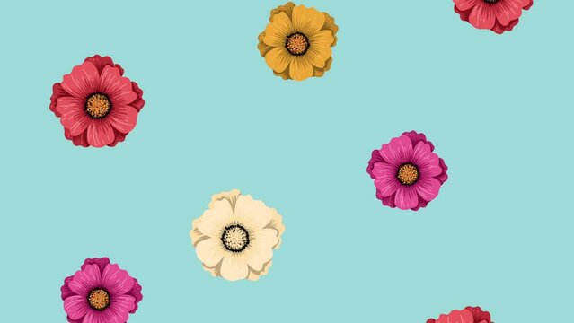 spring flowers pattern seasonal animation