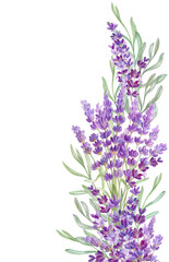 Lavender flowers border, free space for text, watercolor illustration