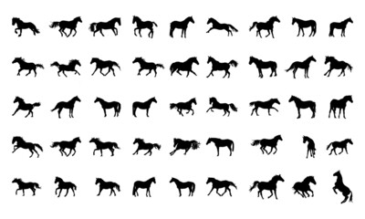 Collection of horses silhouettes set  on white background