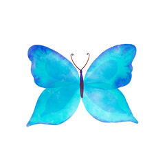 Watercolor Summer blue butterfly isolated on white background. Spring  butterfly illustration.