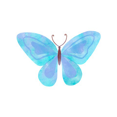 Watercolor Summer blue butterfly isolated on white background. Spring  butterfly illustration.