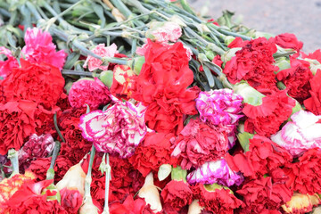 Pinks flowers at the memorial