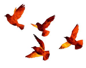 飛ぶ鳥の赤茶色シルエット　羽ばたく鳥の手描き水彩イラスト素材