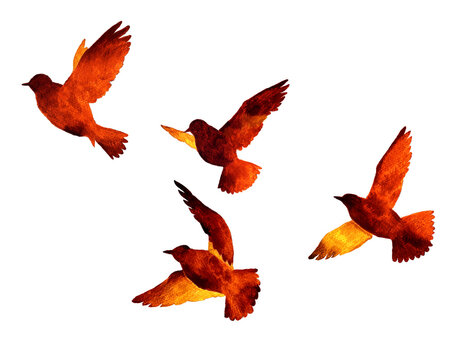 羽ばたく鳥 の画像 31 995 件の Stock 写真 ベクターおよびビデオ Adobe Stock