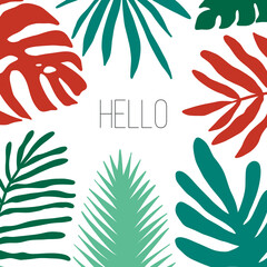 Summer time illustration. Hello summer tropical banner with jungle leaves and palm fronds. Exotic plants illustration in vector.
